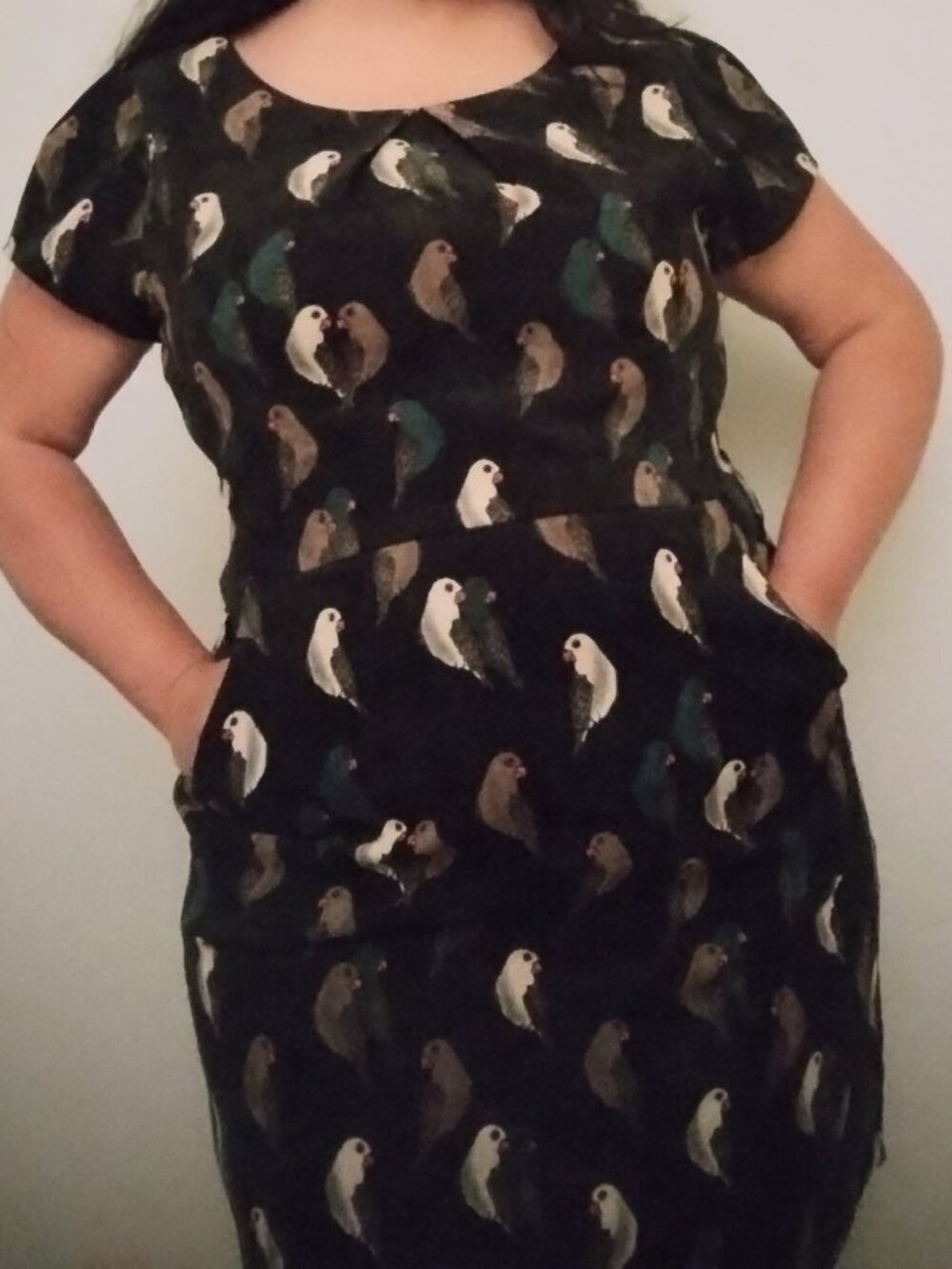 SM Wardrobe Birds Retro Corduroy Dress